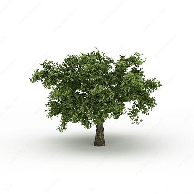 茂盛大树3D模型