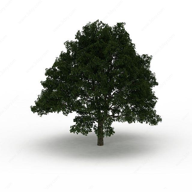 茂密大树3D模型