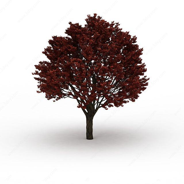 红叶枫树3D模型