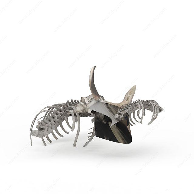 动物化石3D模型