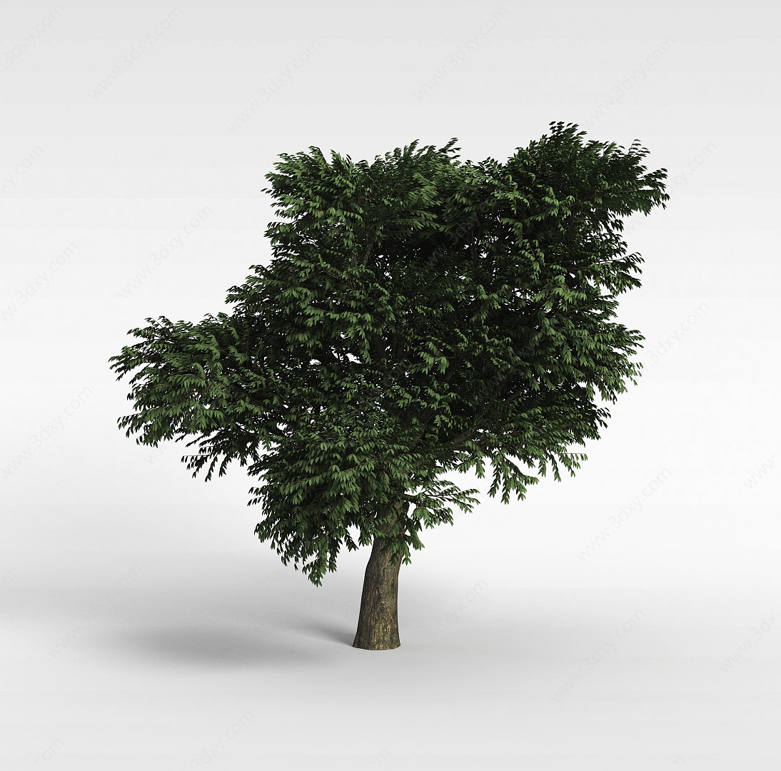 园林绿树3D模型