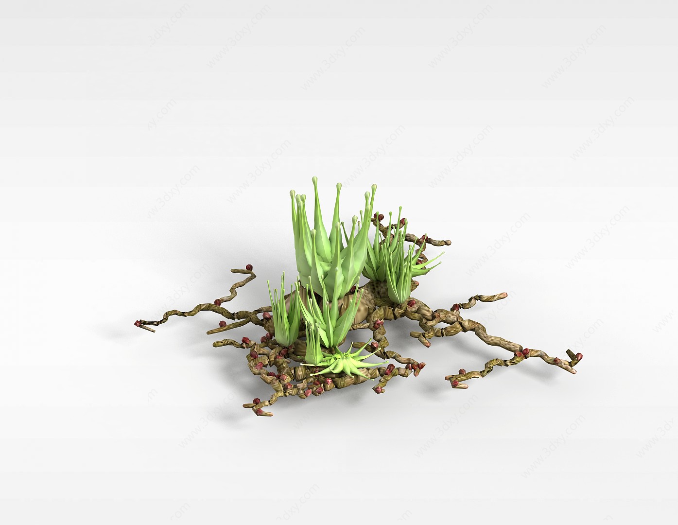 海底景观植物3D模型
