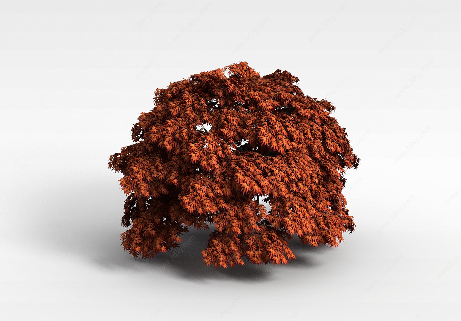茂盛枫树3D模型