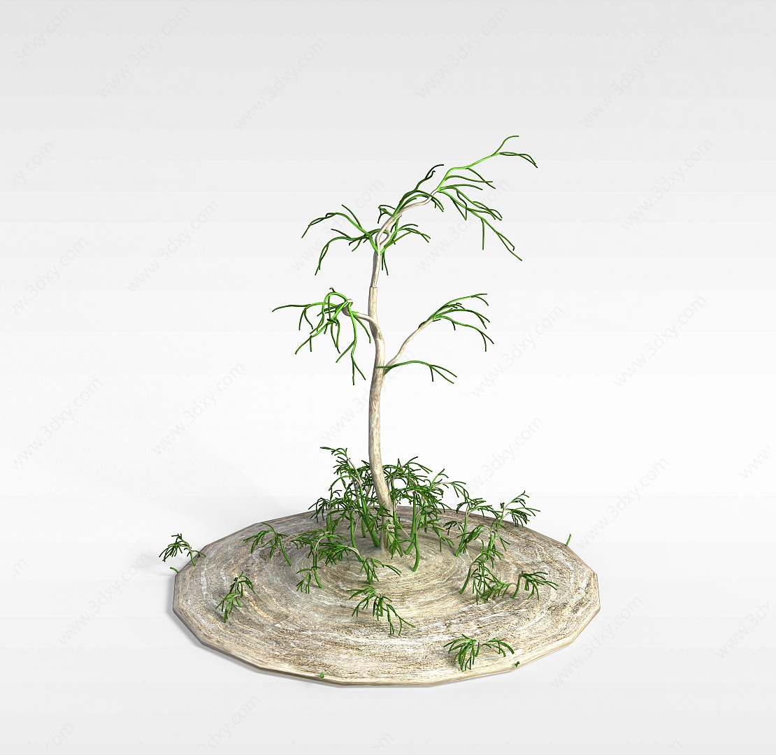稀有异形植物3D模型
