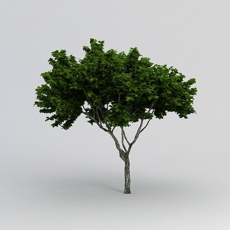 园林绿植3D模型
