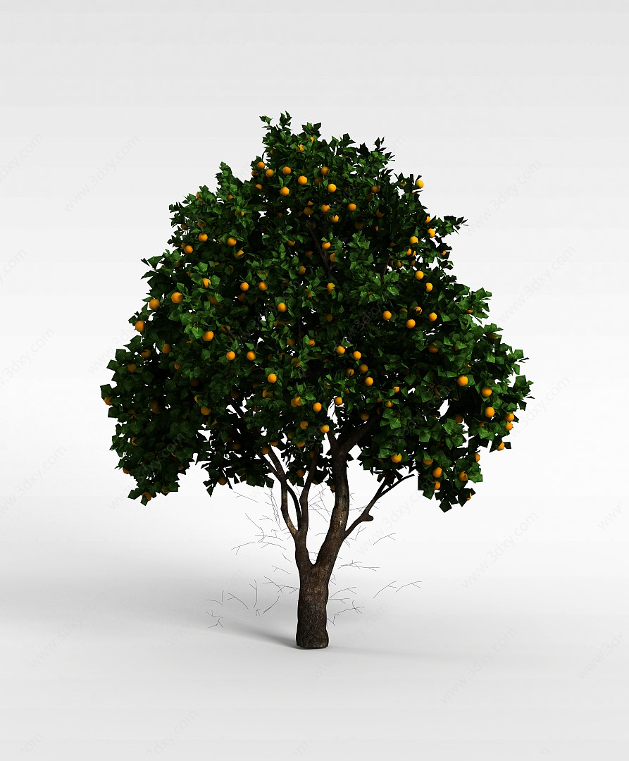 茂盛桔子树3D模型