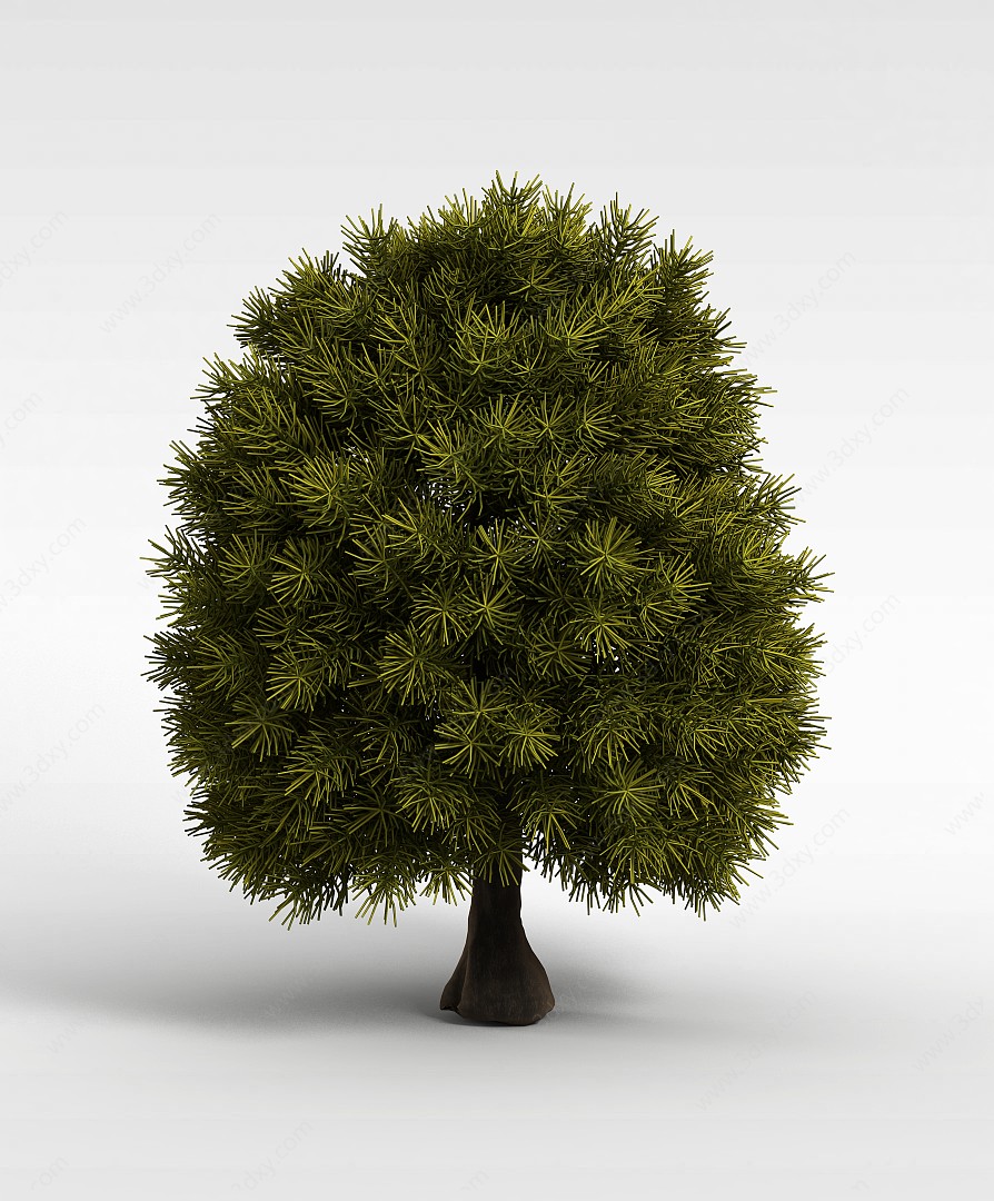 园林松树3D模型