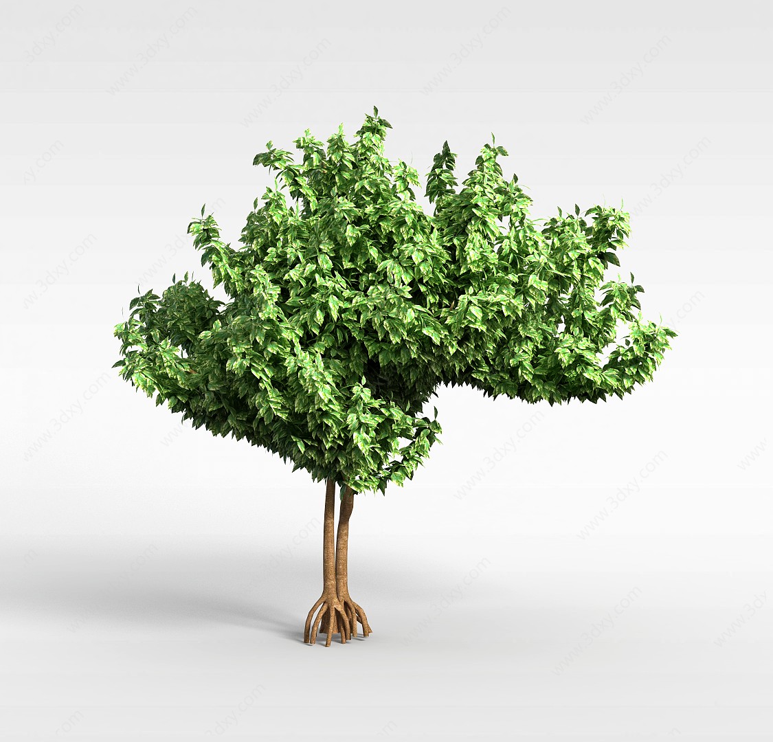 园林阔叶树3D模型