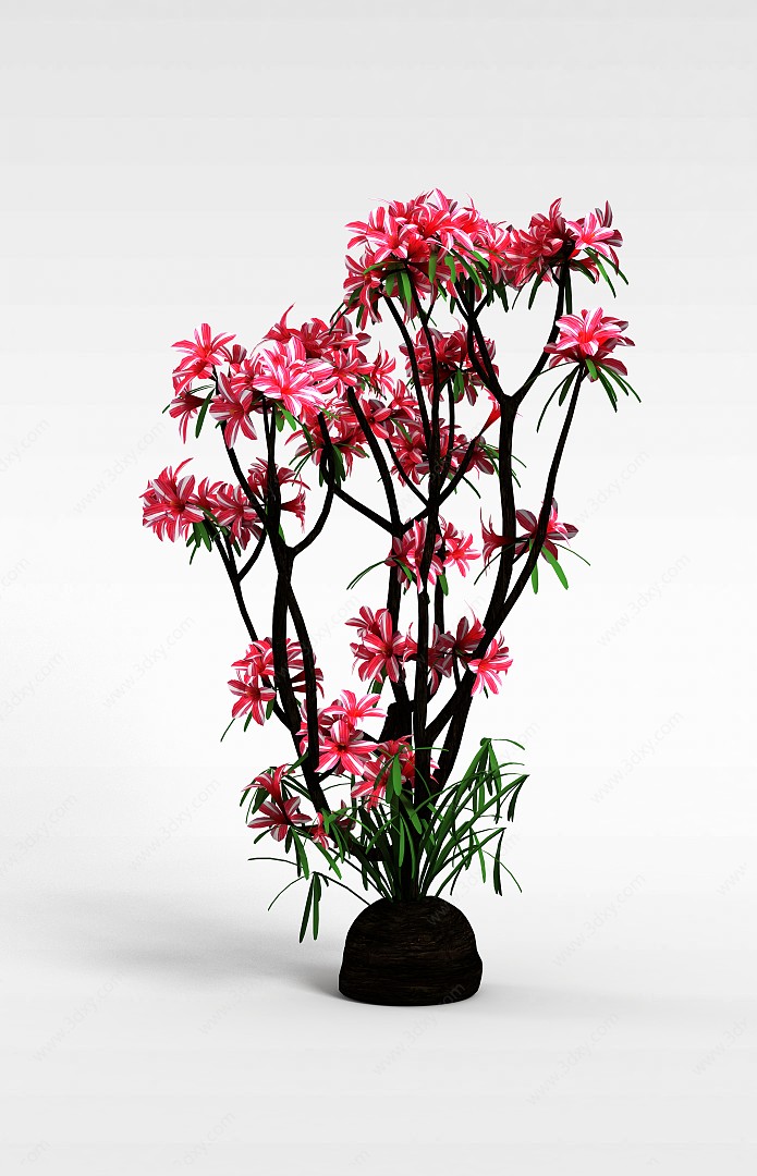 园林观赏花卉植物3D模型
