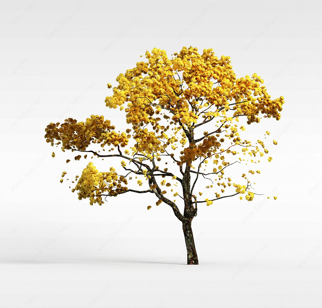 园林植物3D模型