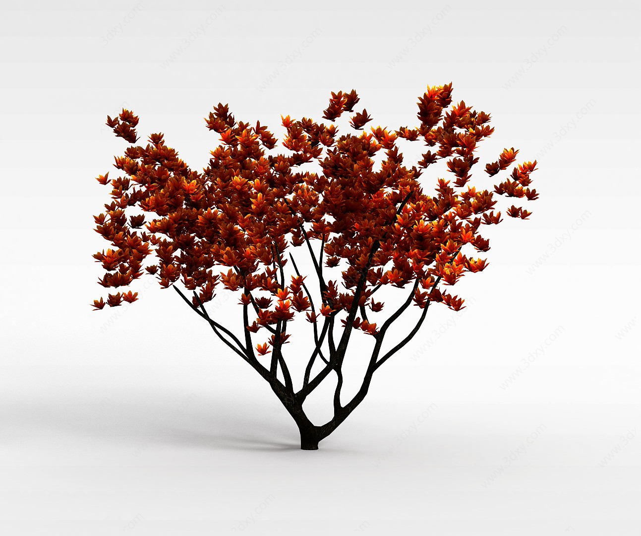 园林植物3D模型