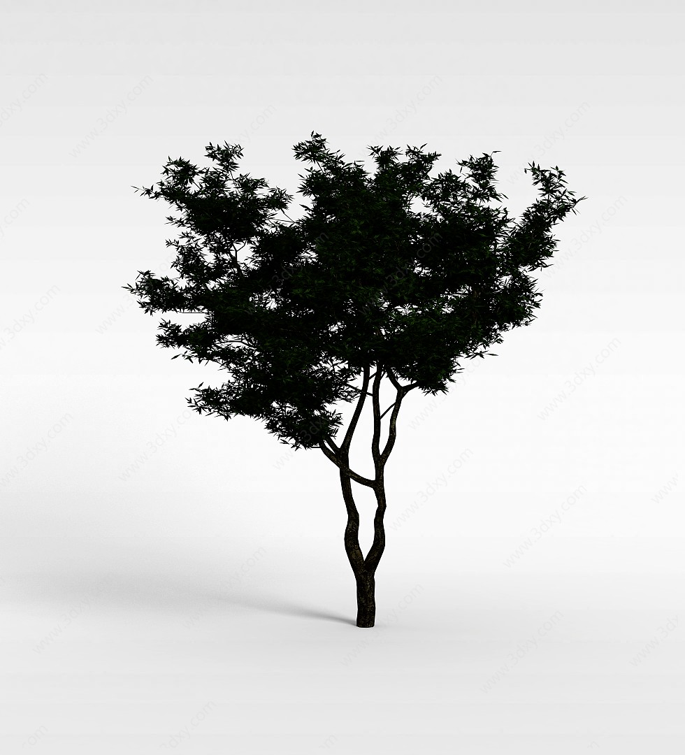 细叶植物大树3D模型