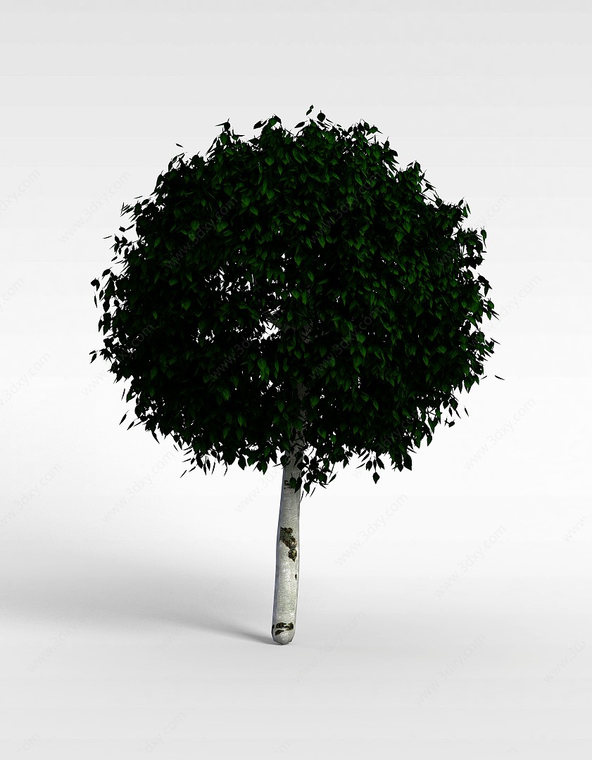 球形树冠树3D模型
