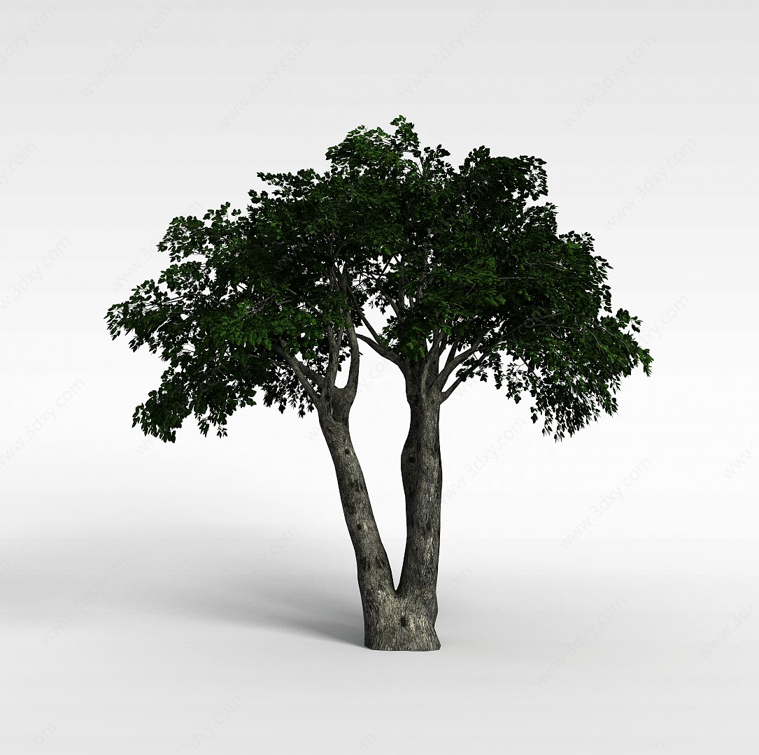园林植物大树3D模型