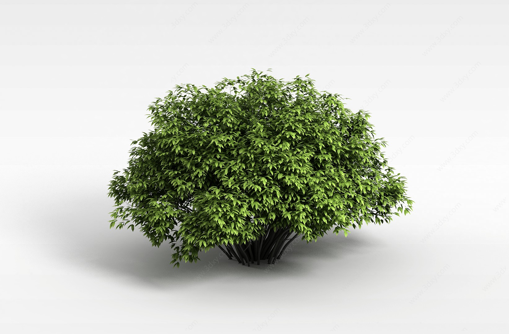 灌木3D模型