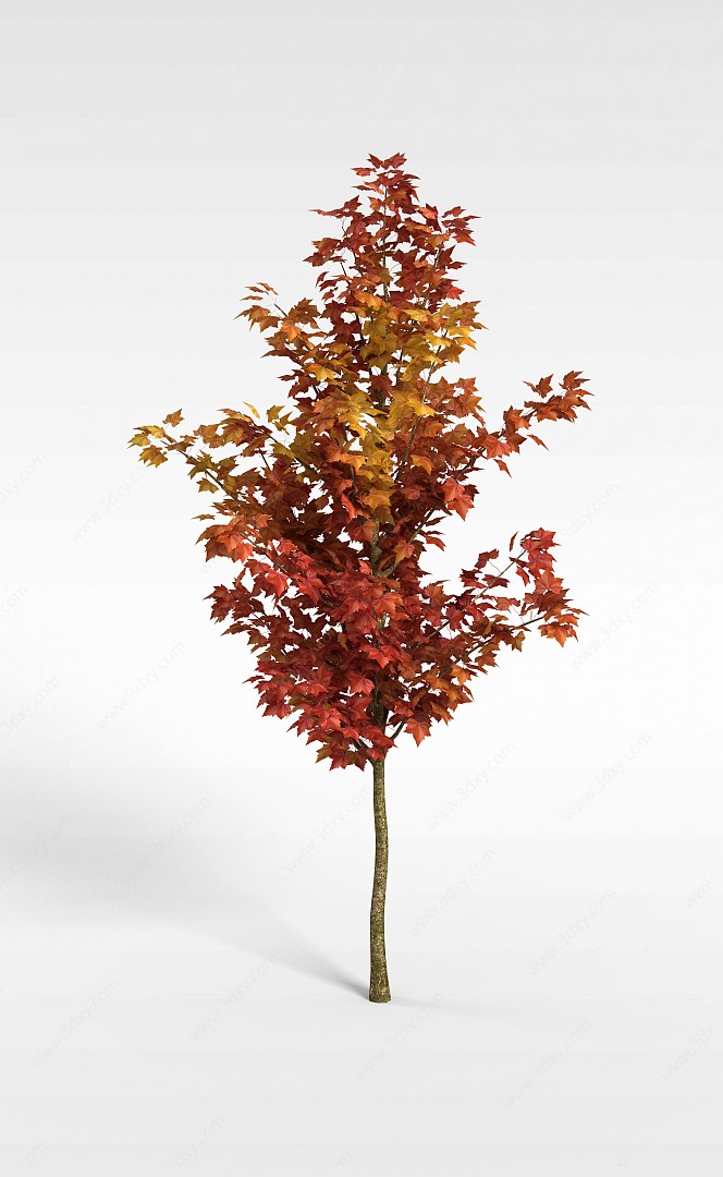 路边秋冬树3D模型