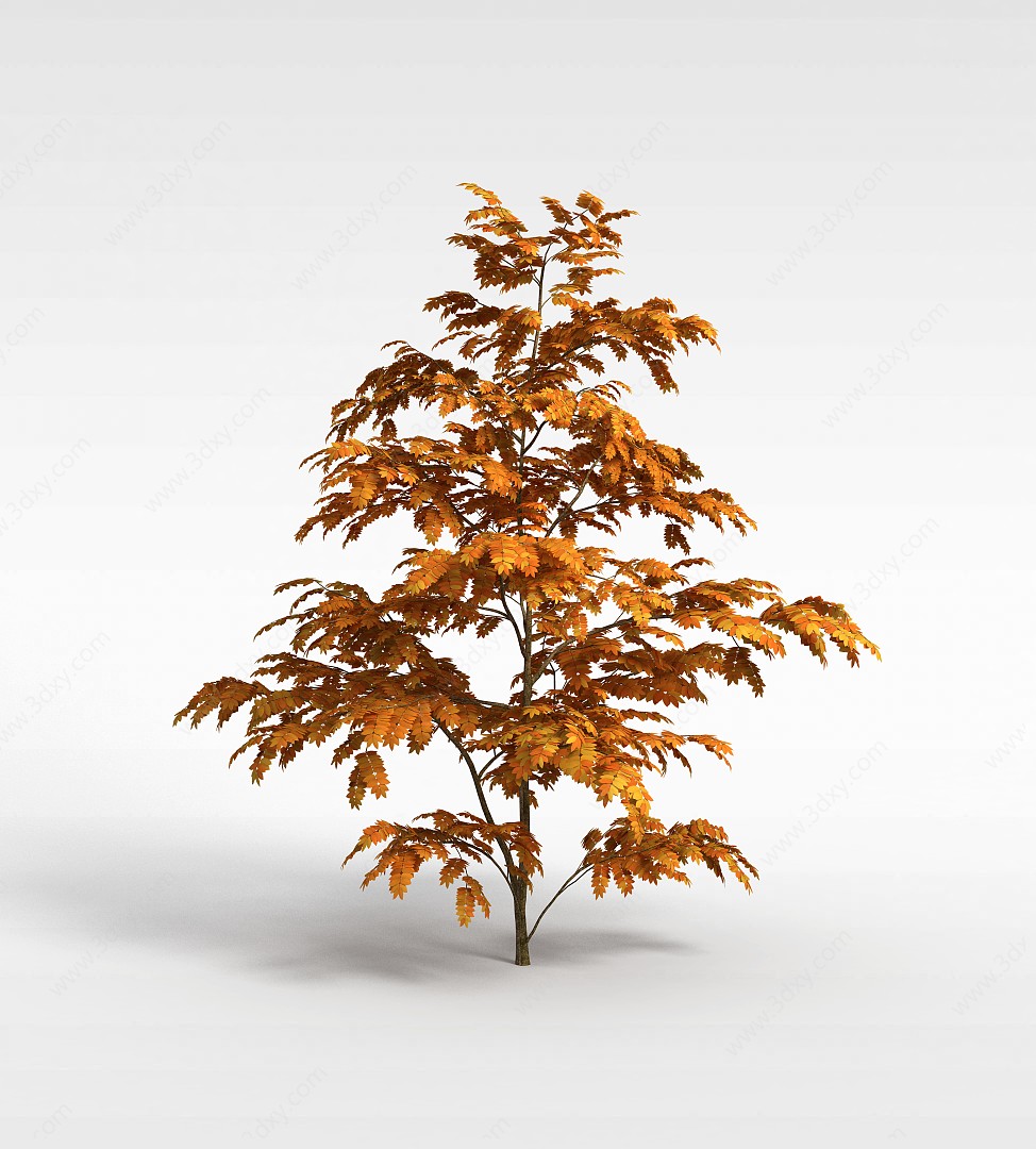 枫叶树3D模型
