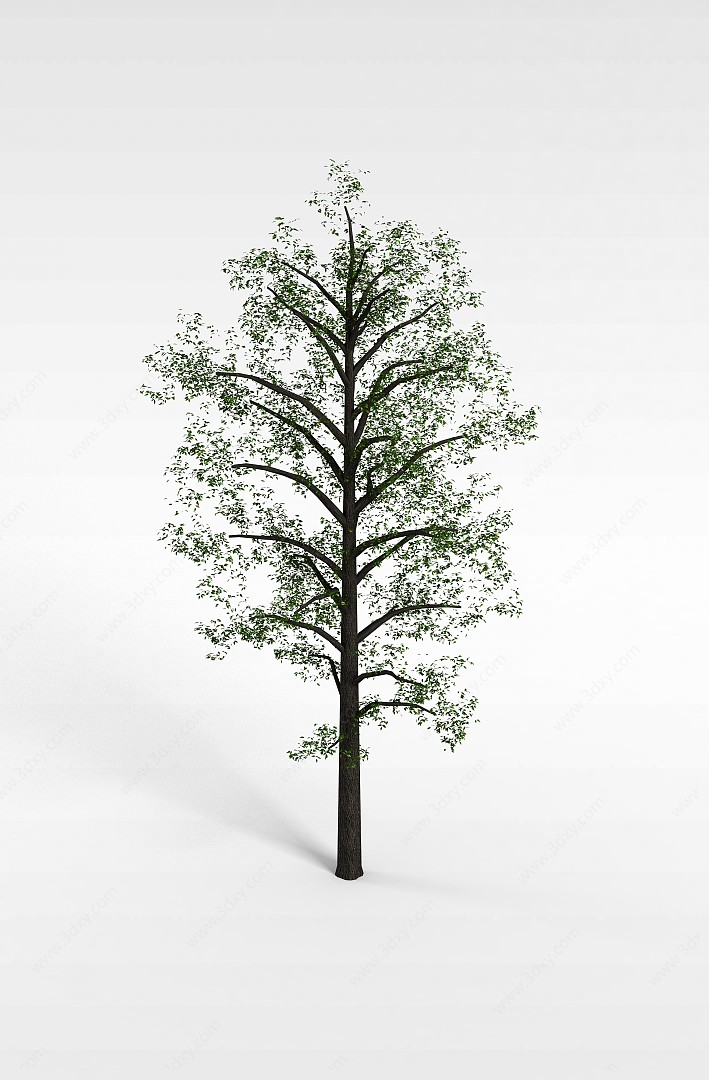 公园树3D模型