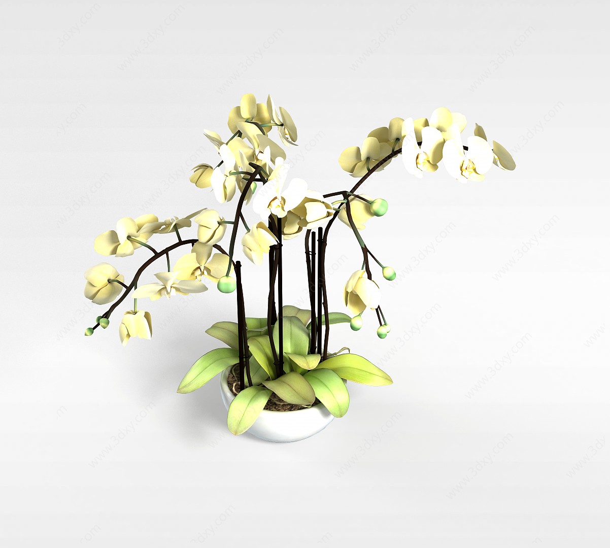 鲜花盆栽3D模型