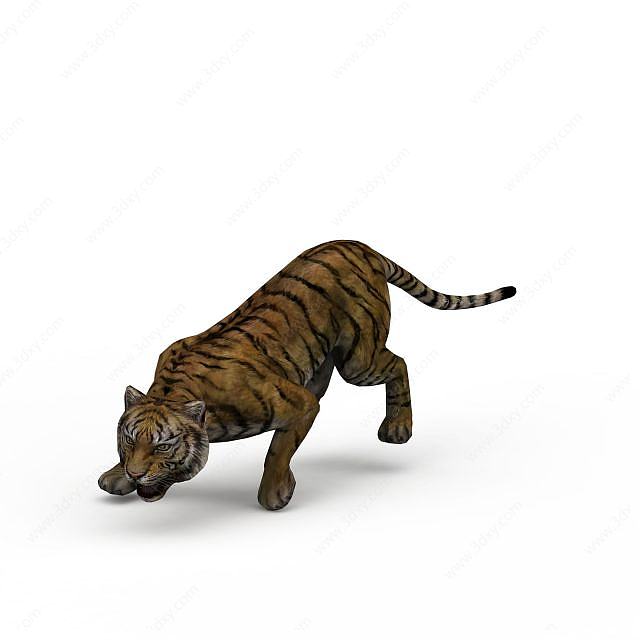 老虎3D模型