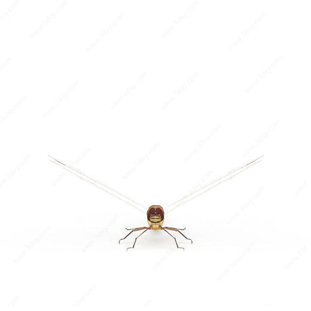 小蜻蜓3D模型