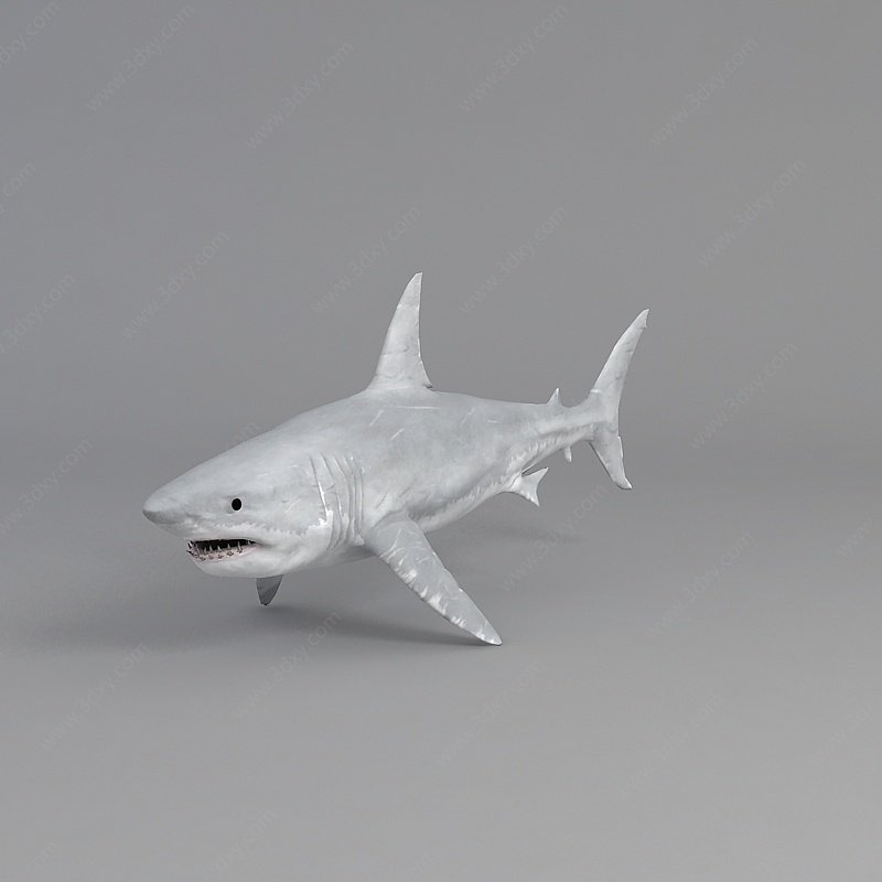 哺乳动物鲸鱼鲨鱼3D模型