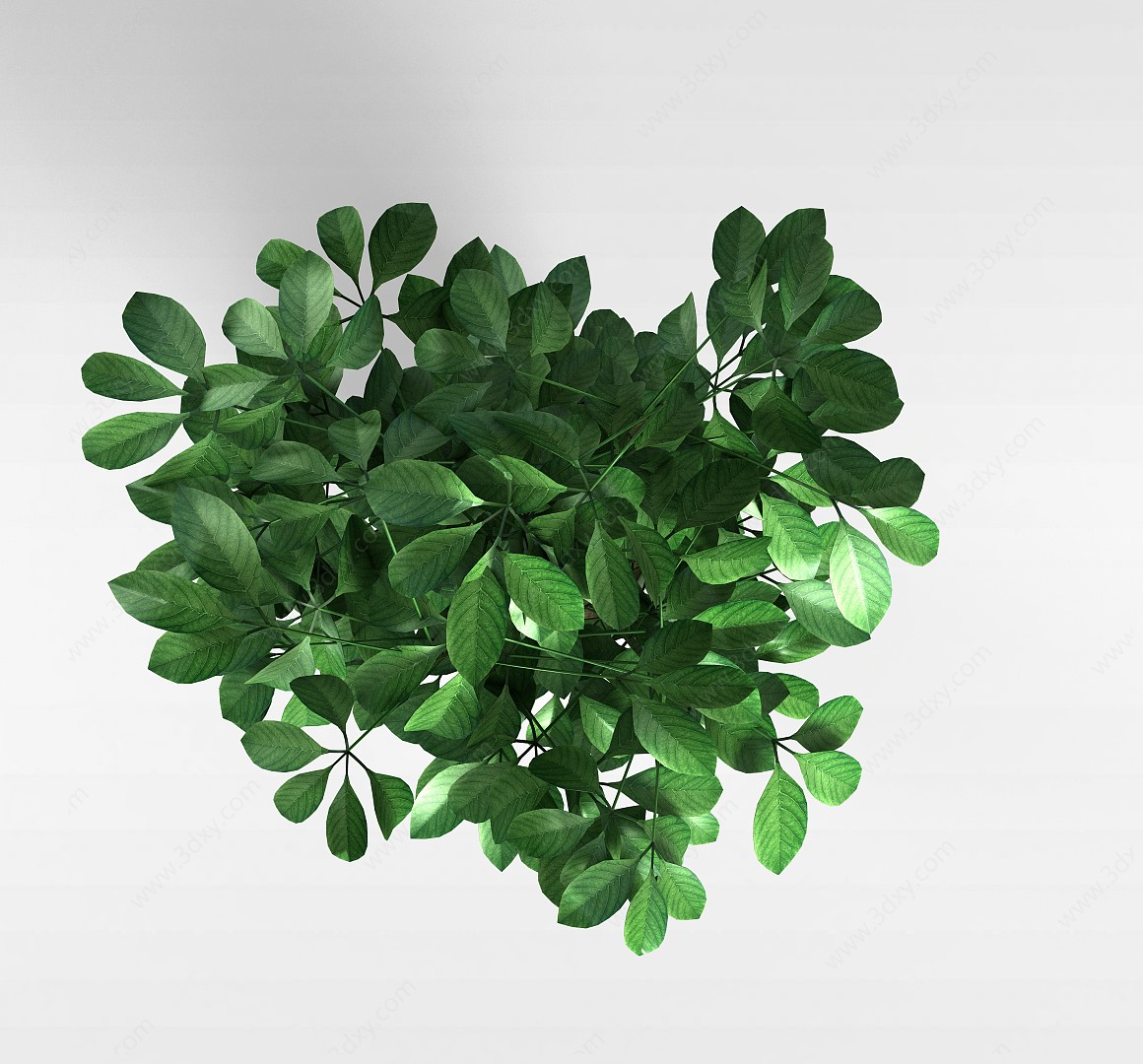 平安树3D模型