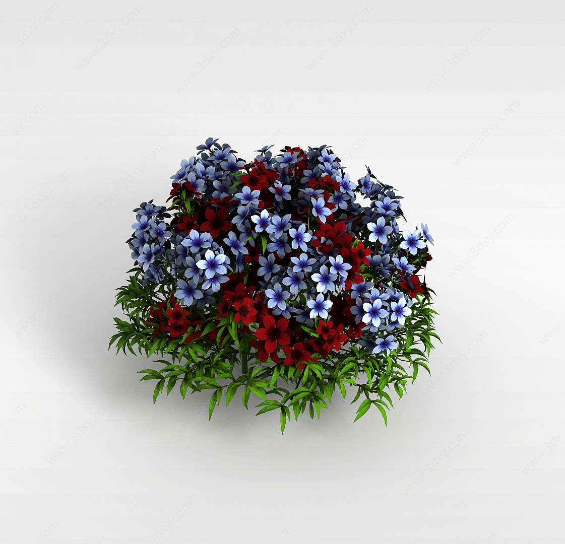 园艺花卉3D模型