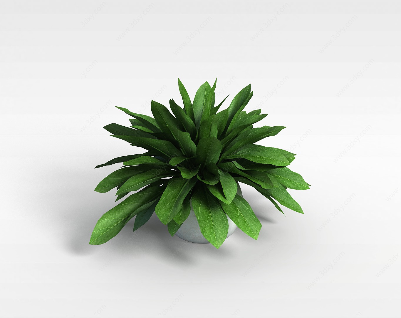 室内绿植3D模型