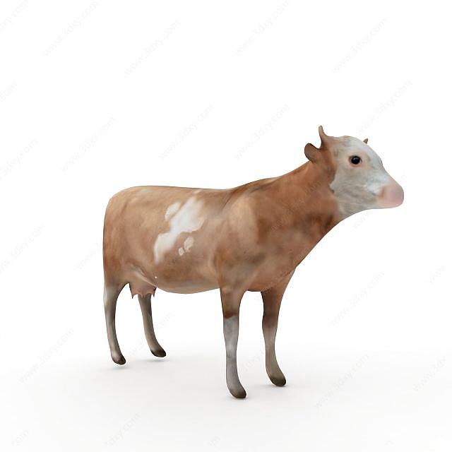 动物牛3D模型