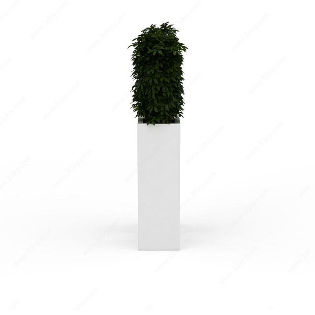 办公酒店植物3D模型