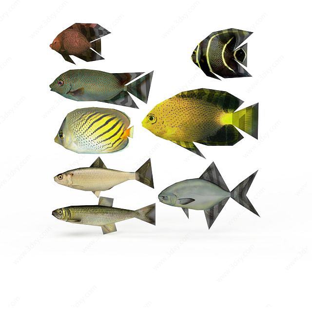 一群鱼3D模型