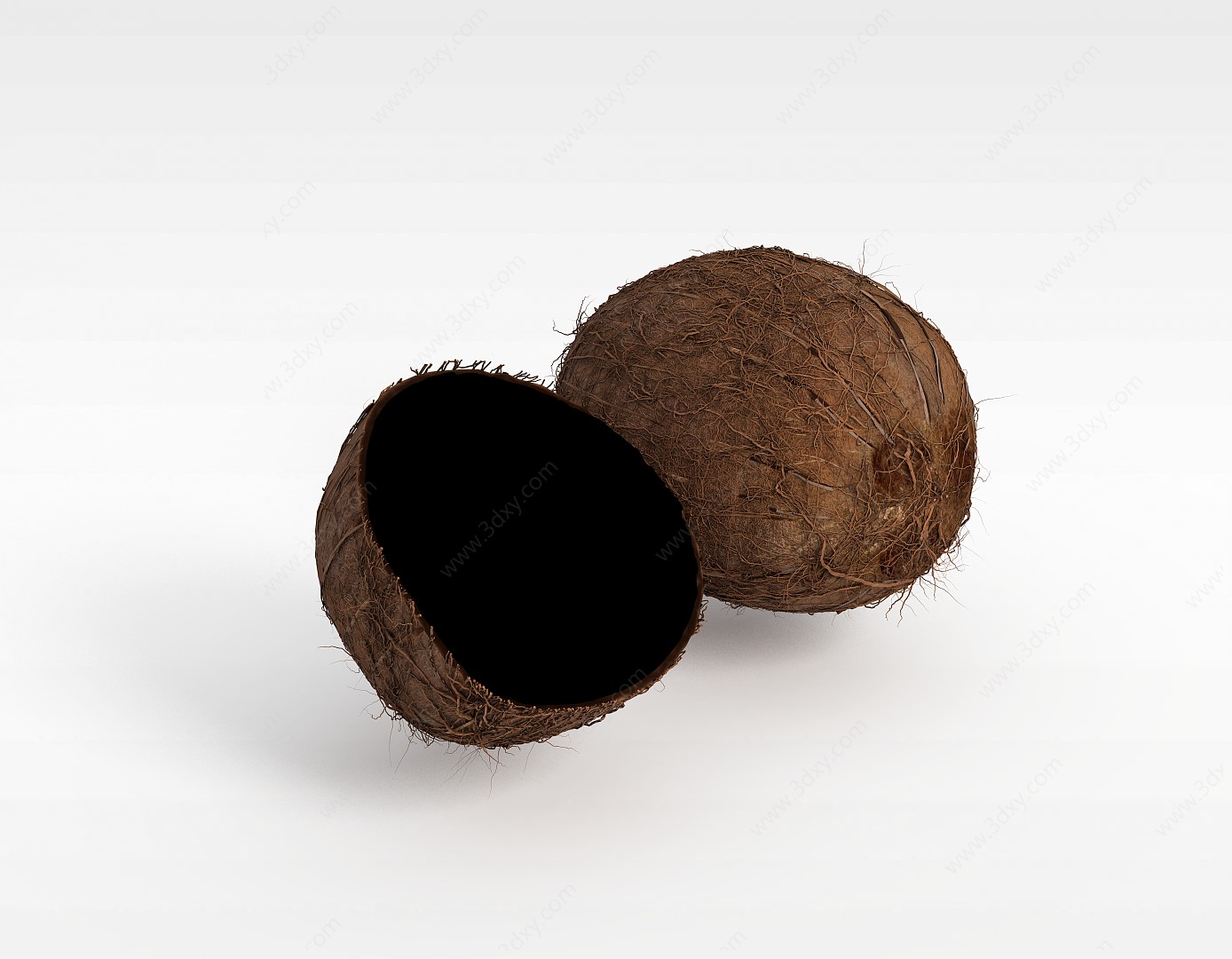 椰子壳3D模型