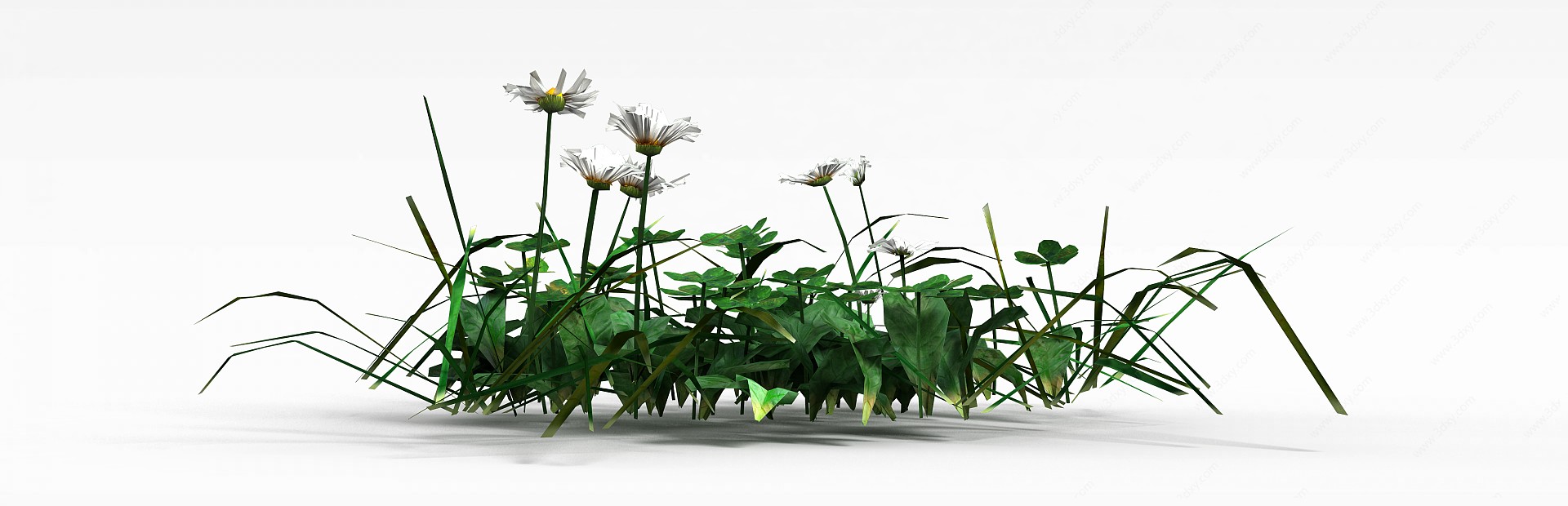 绿色植物3D模型