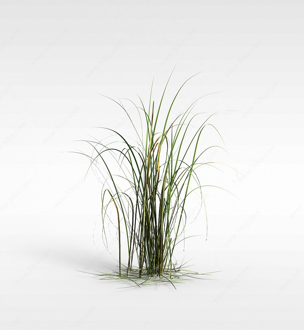 绿草3D模型