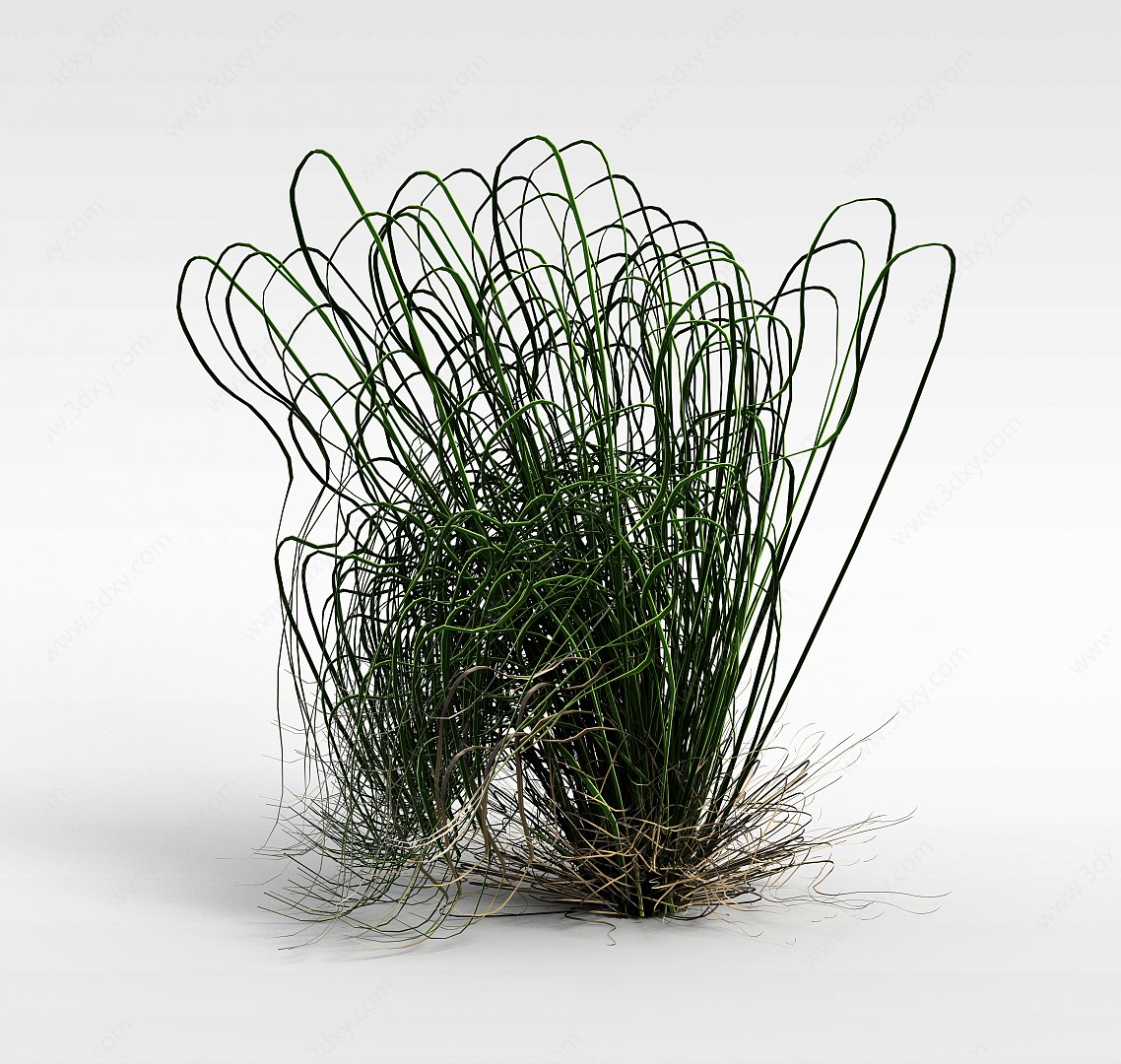 黑麦草3D模型