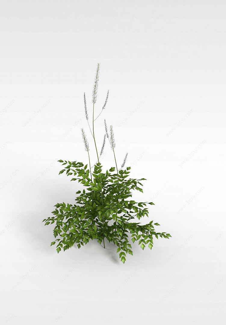 绿树3D模型