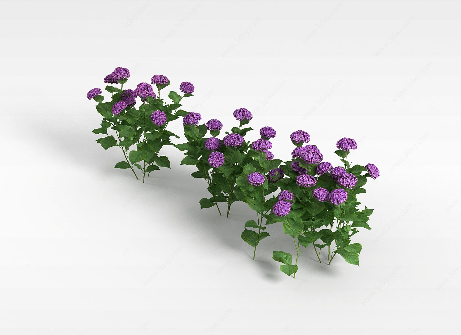 紫色花3D模型