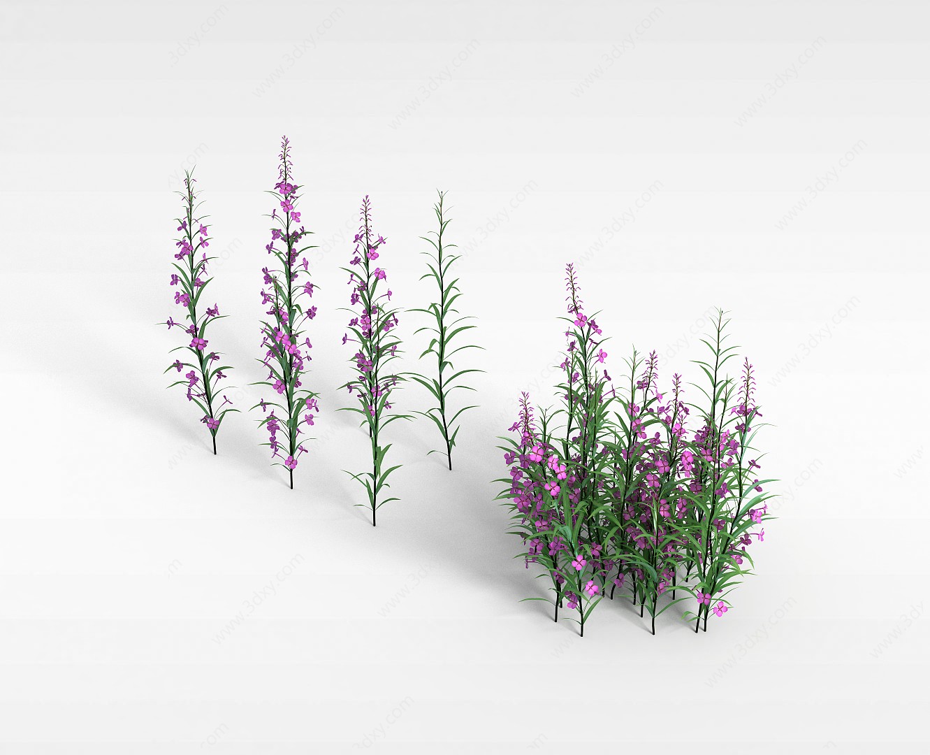 紫色花3D模型