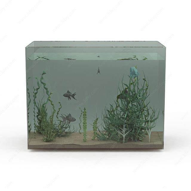 生态鱼缸3D模型