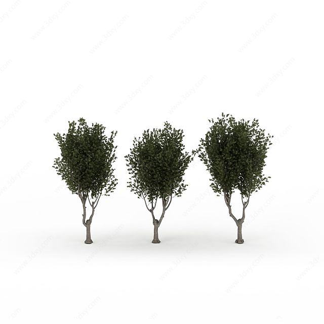 绿色树木3D模型