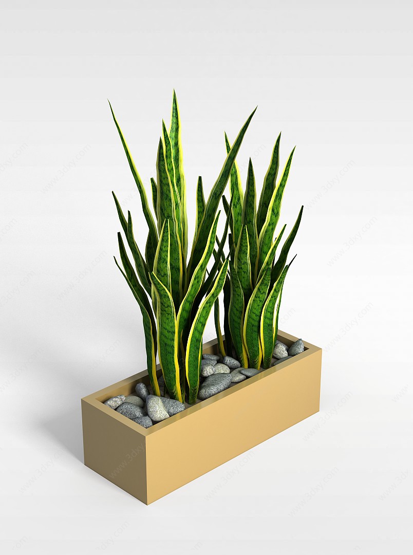 绿色植物盆景3D模型