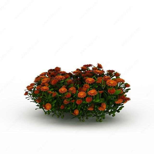 橘色园艺植物3D模型