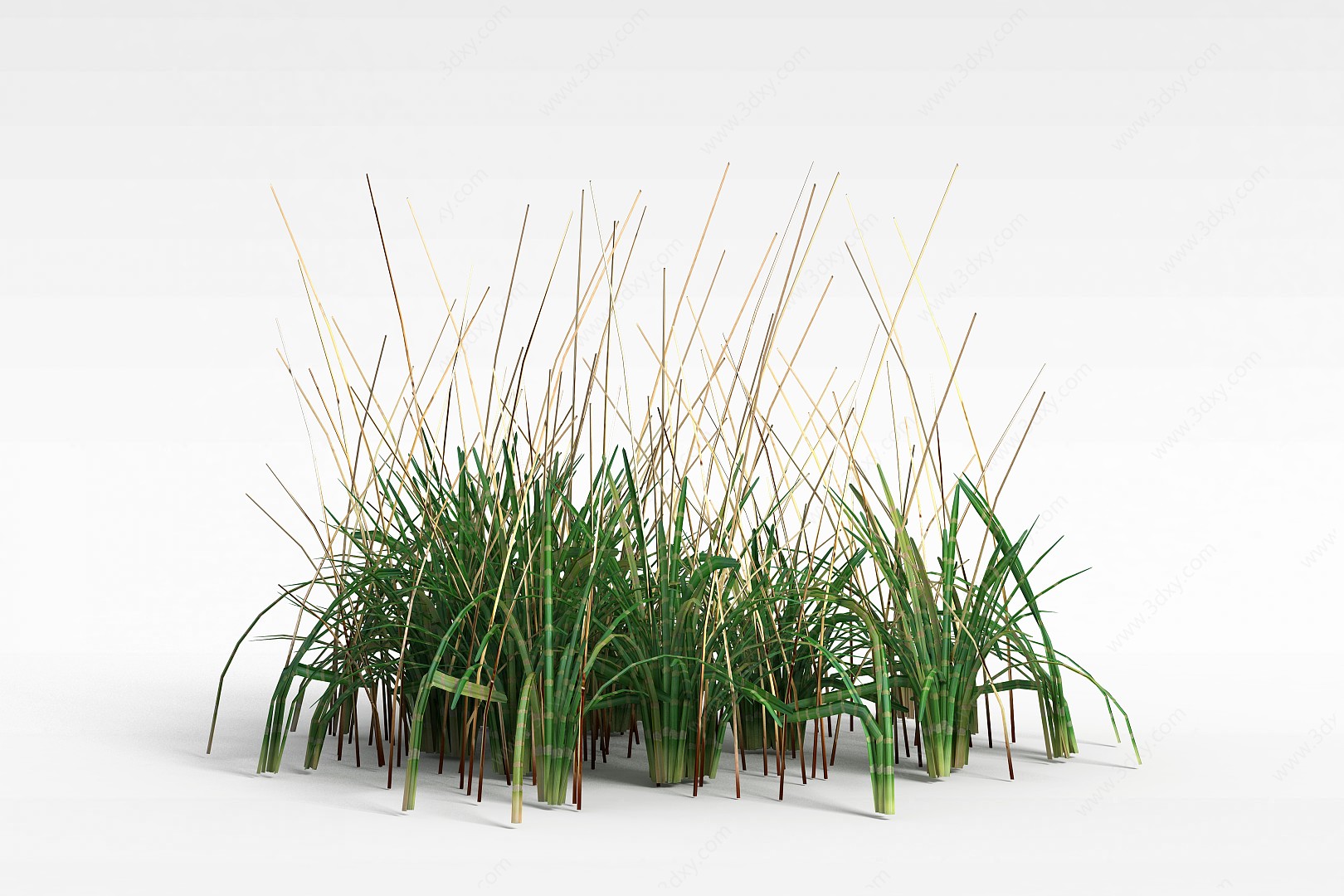 绿色草丛3D模型