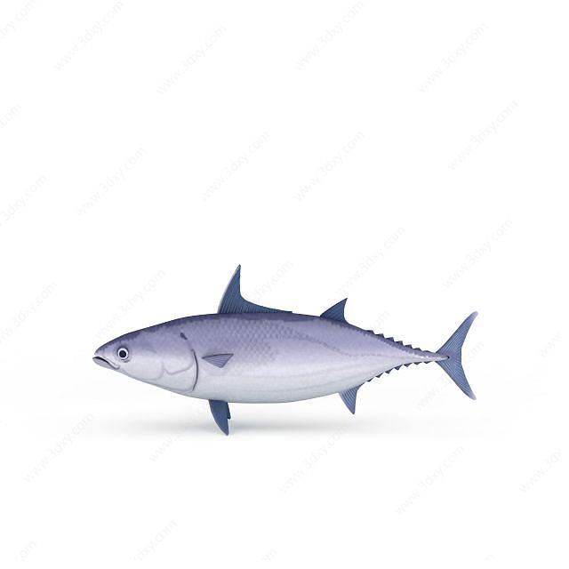 深水鱼3D模型