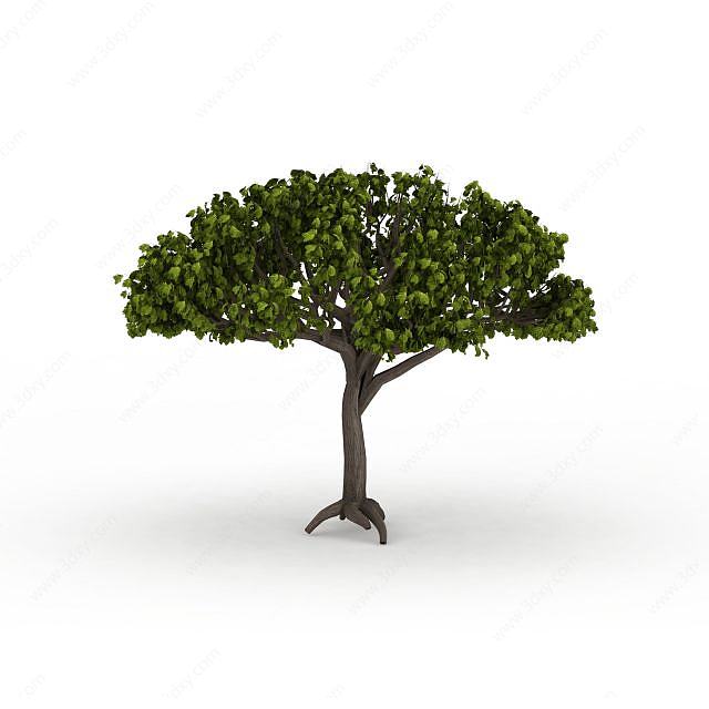 绿色树木3D模型