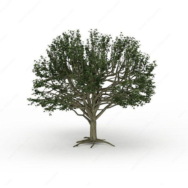 绿色观赏树3D模型