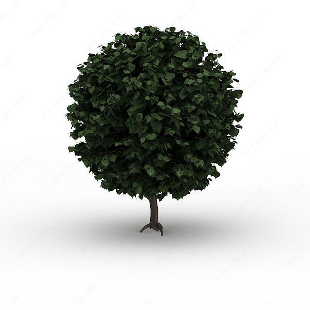 茂盛球形绿树3D模型