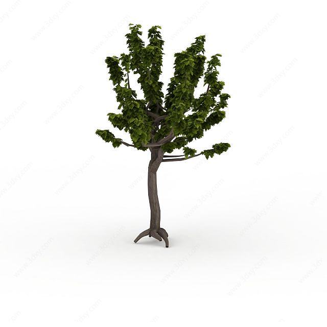 分枝型树木3D模型