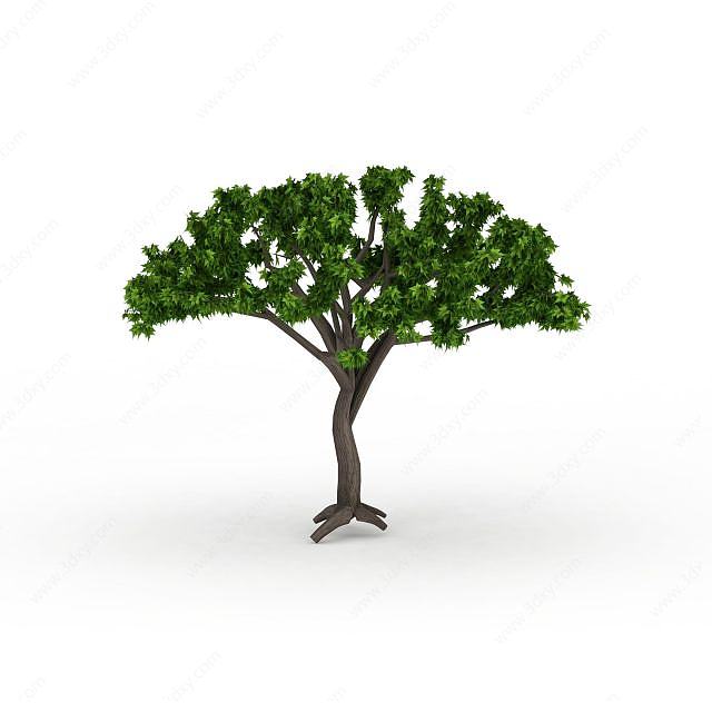 枝干绿树3D模型